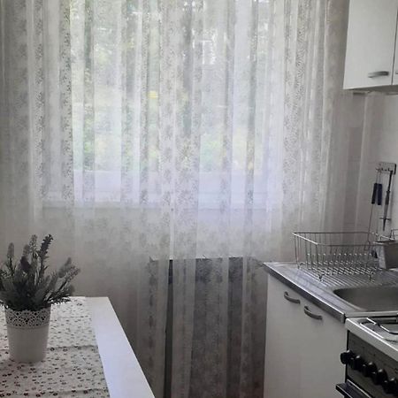 Palma Apartments بودغورا المظهر الخارجي الصورة